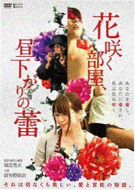 崔泽人物档案